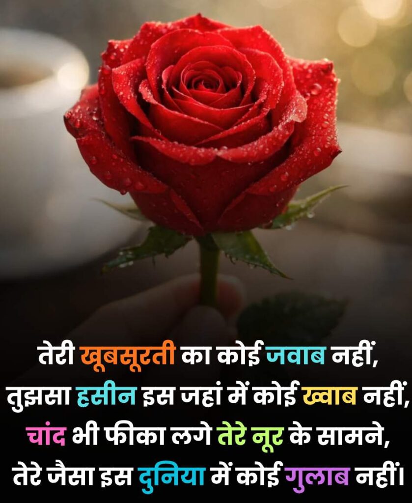 खूबसूरती की तारीफ शायरी 4 लाइन