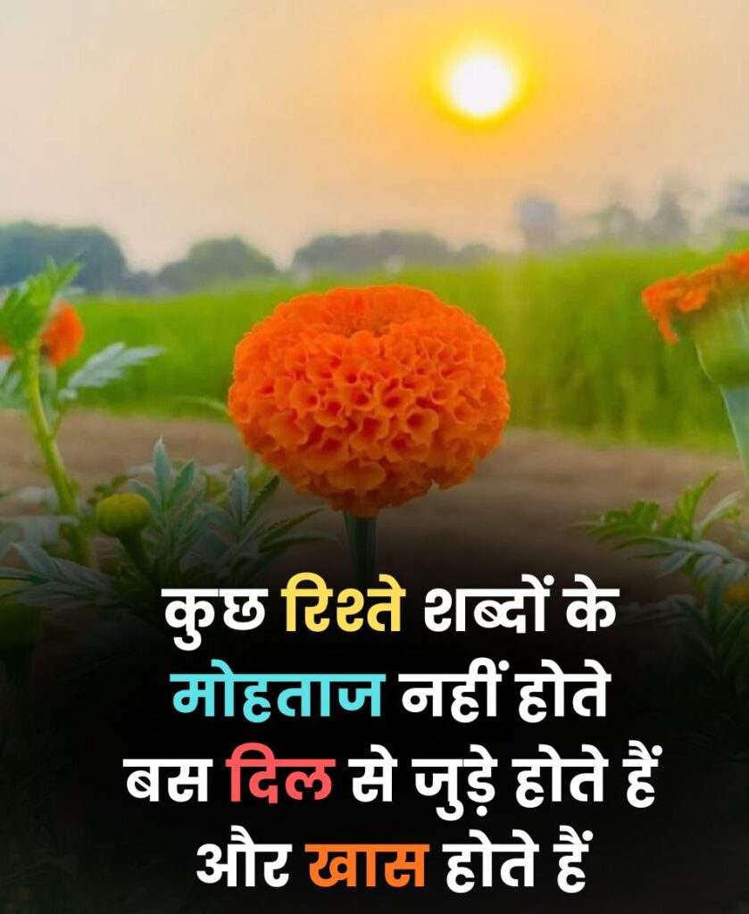 दिल से जुड़े रिश्ते